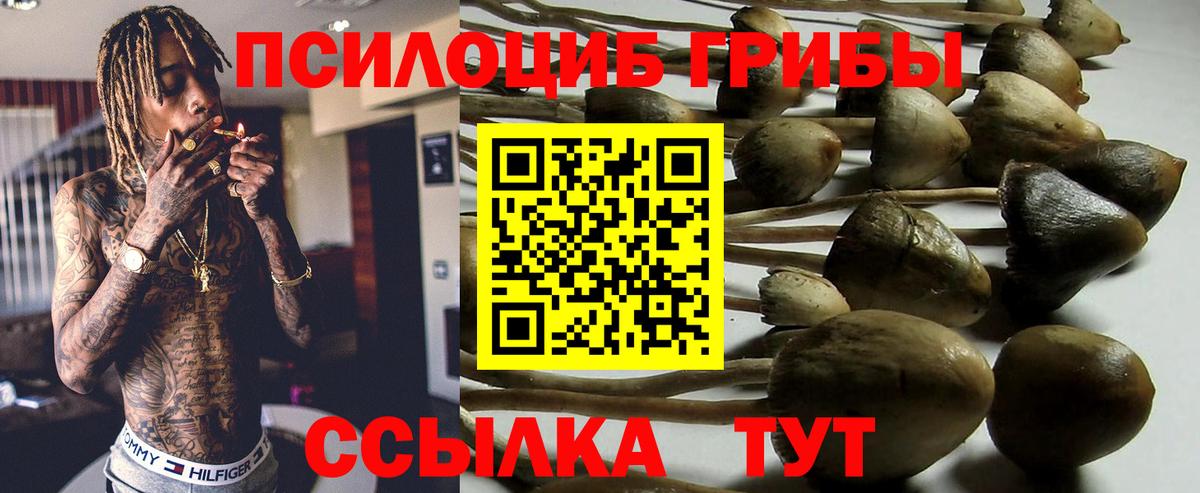 Галлюциногенные грибы прущие грибы  Вход с VPN  Кулебаки  Псилоцибиновые грибы Psilocybe 